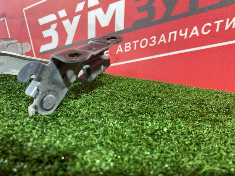 Петля (Шарнир капота), 10000 рублей, Солонцы