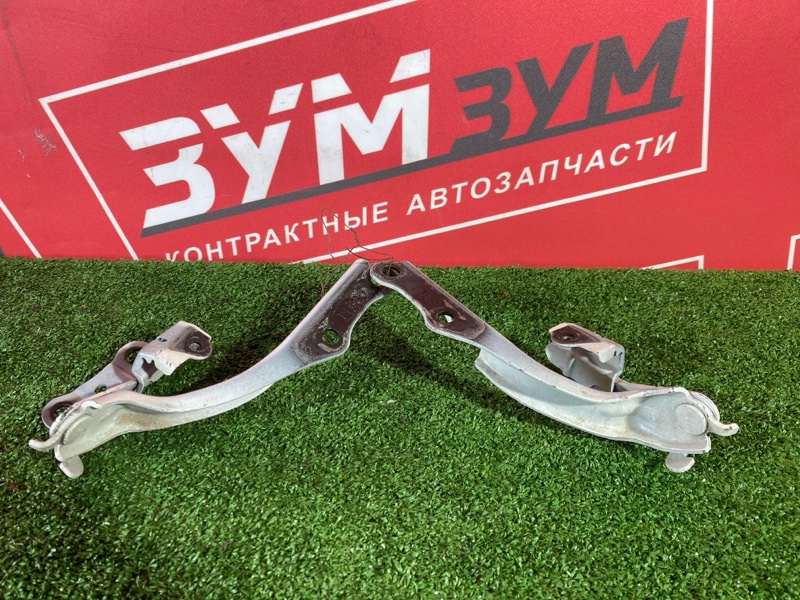 Петля (Шарнир капота), 10000 рублей, Солонцы