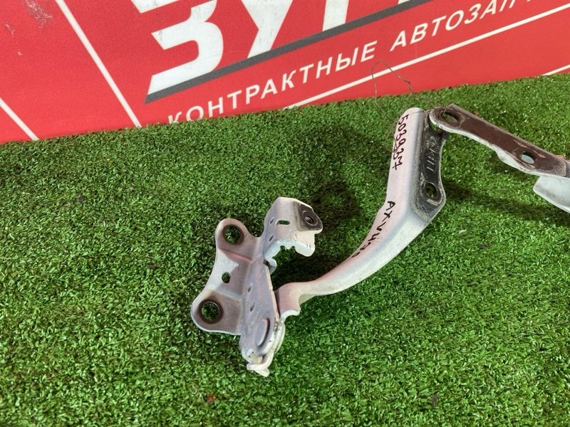 Петля (Шарнир капота), 10000 рублей, Солонцы