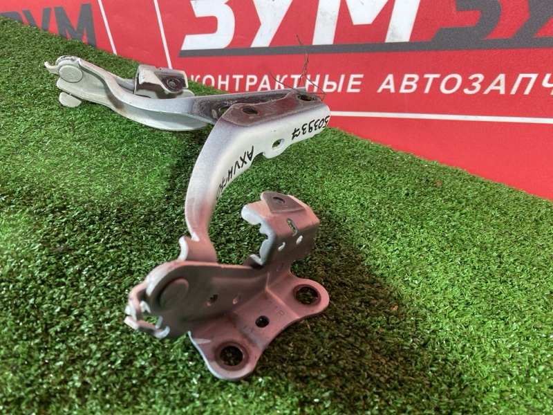 Петля (Шарнир капота), 10000 рублей, Солонцы