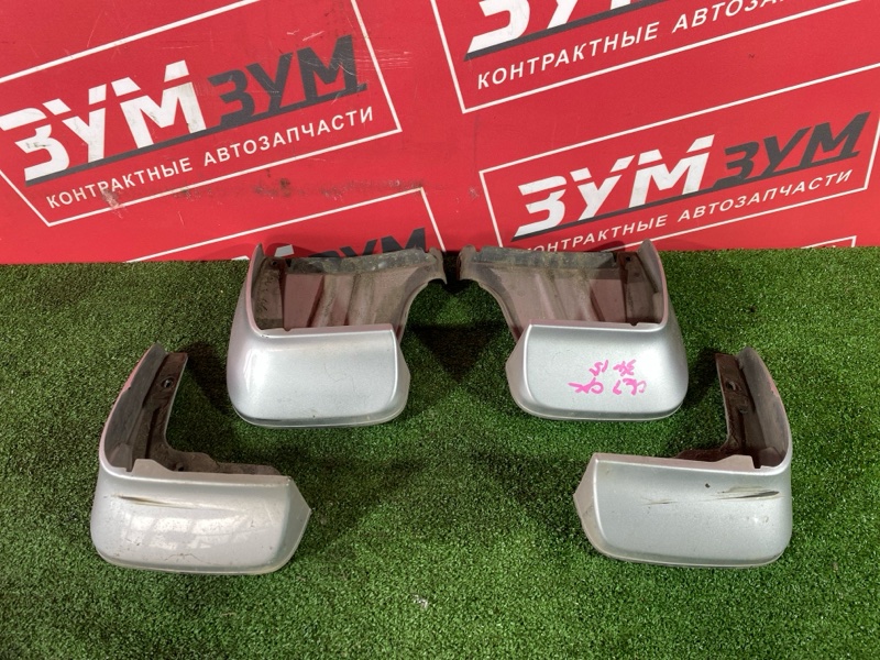 Брызговик, 3000 рублей, Солонцы