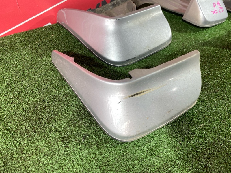 Брызговик, 3000 рублей, Солонцы