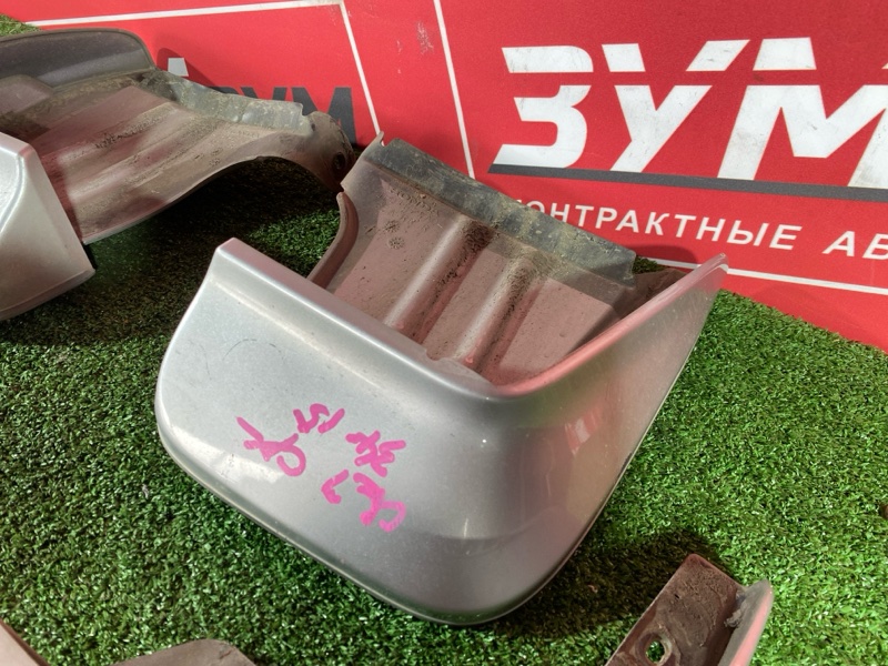 Брызговик, 3000 рублей, Солонцы