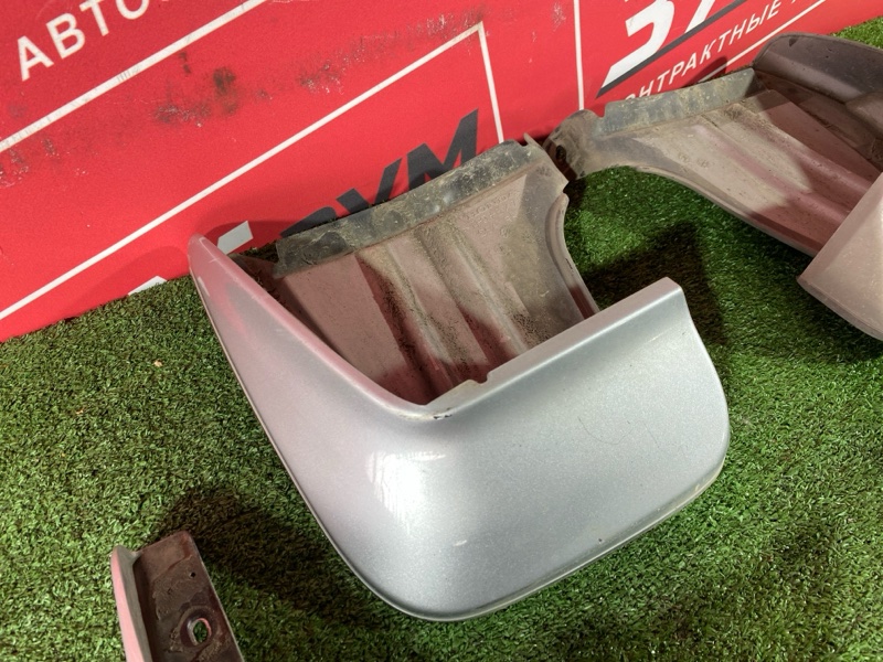 Брызговик, 3000 рублей, Солонцы