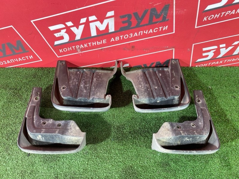 Брызговик, 3000 рублей, Солонцы