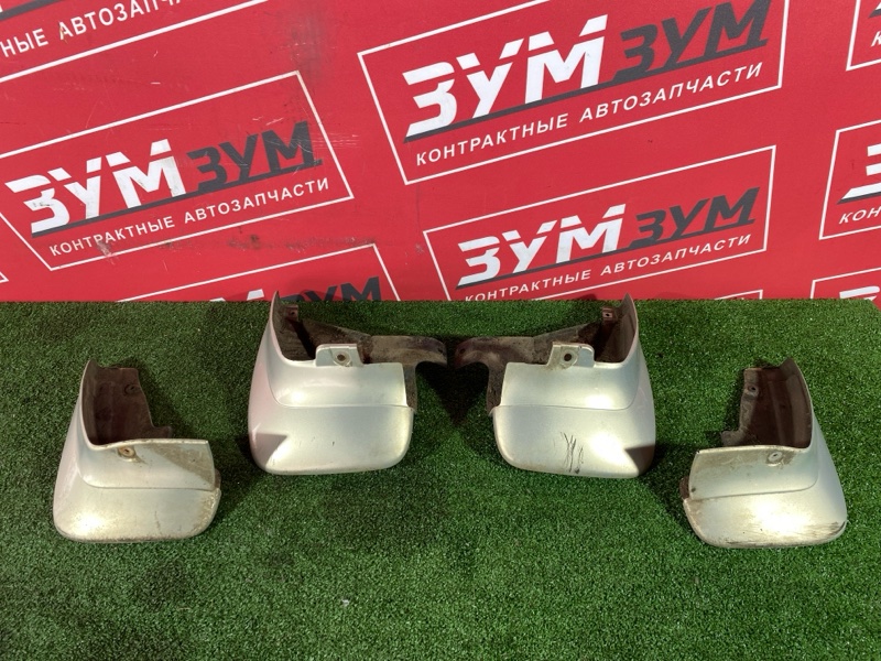 Брызговик, 3000 рублей, Солонцы