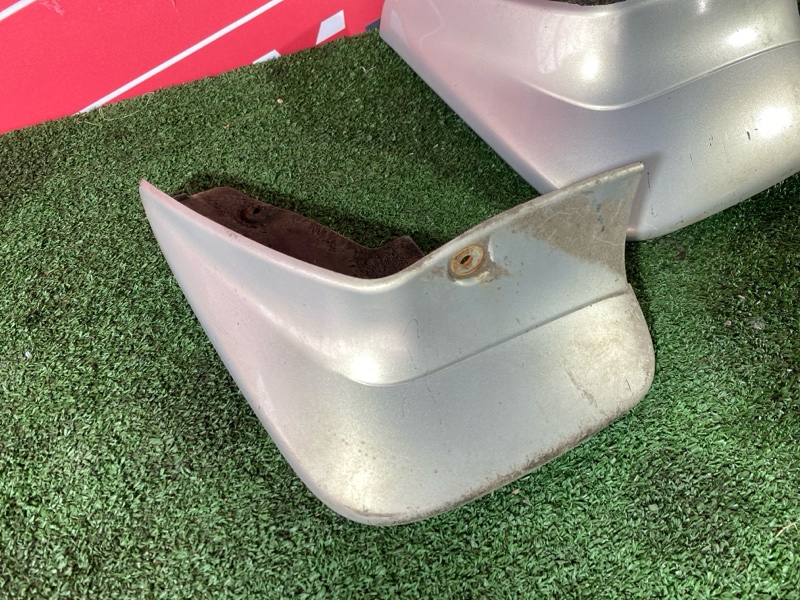 Брызговик, 3000 рублей, Солонцы