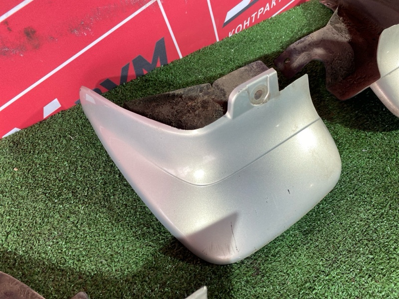 Брызговик, 3000 рублей, Солонцы