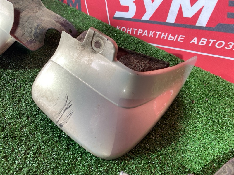 Брызговик, 3000 рублей, Солонцы