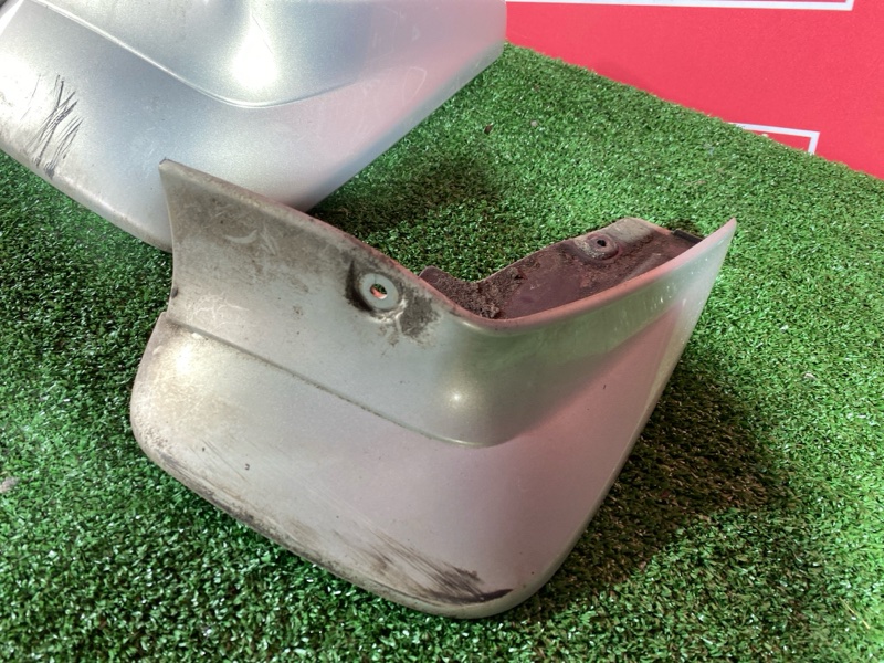 Брызговик, 3000 рублей, Солонцы