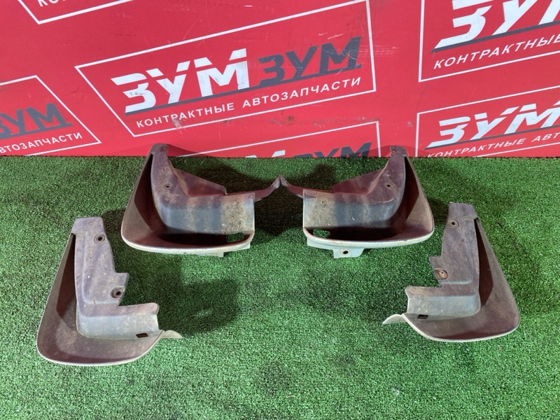 Брызговик, 3000 рублей, Солонцы