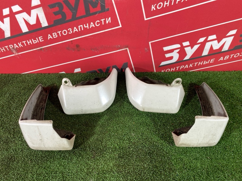 Брызговик, 2500 рублей, Солонцы