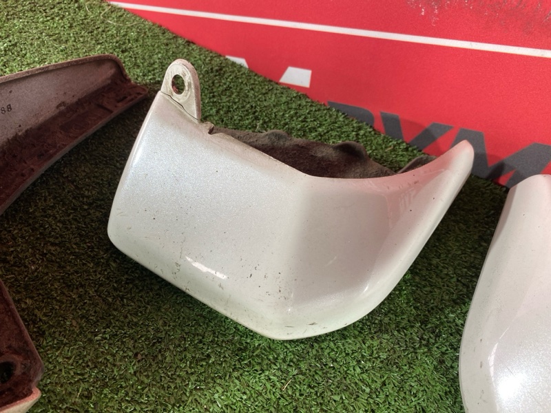 Брызговик, 2500 рублей, Солонцы