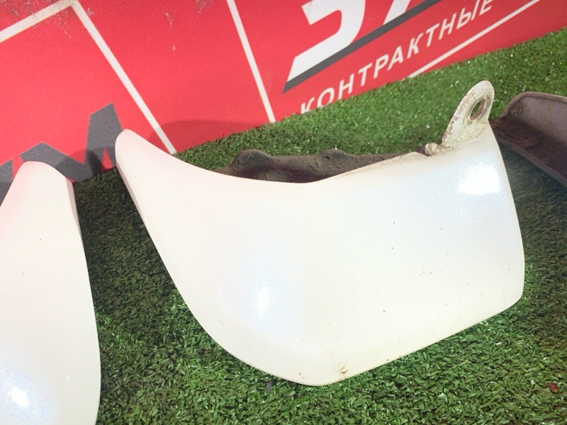 Брызговик, 2500 рублей, Солонцы