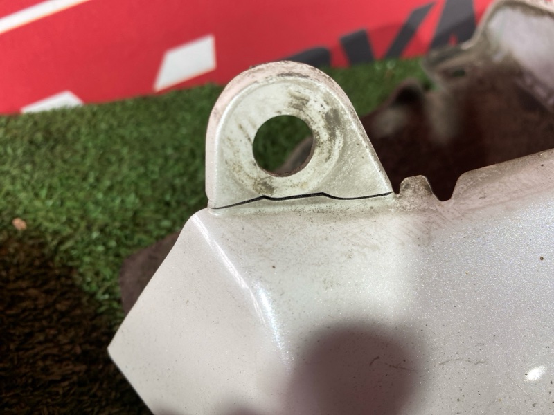 Брызговик, 2500 рублей, Солонцы