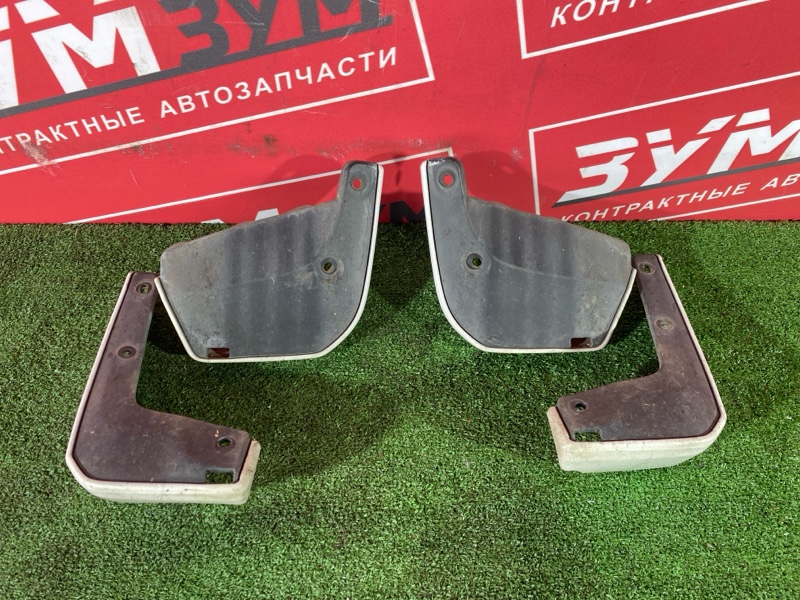 Брызговик, 2500 рублей, Солонцы