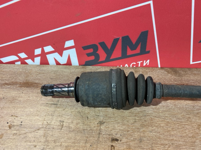 Привод, 1000 рублей, Солонцы