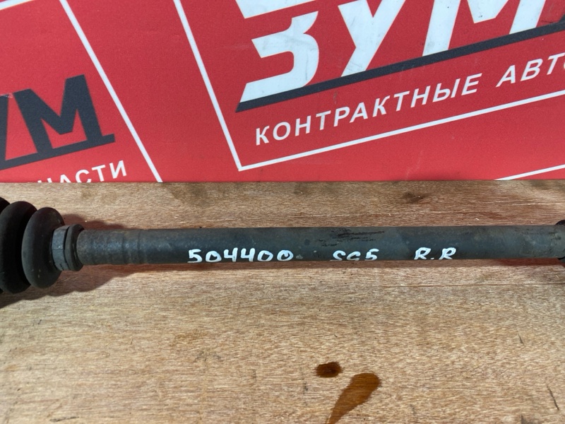 Привод, 1000 рублей, Солонцы