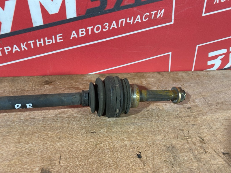 Привод, 1000 рублей, Солонцы