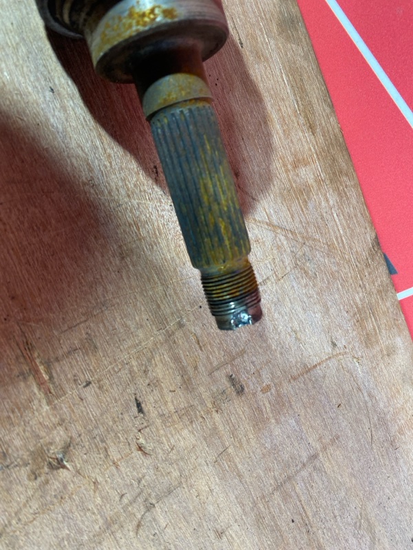 Привод, 1000 рублей, Солонцы