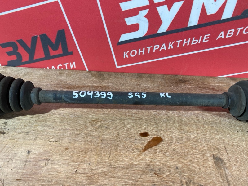 Привод, 1000 рублей, Солонцы