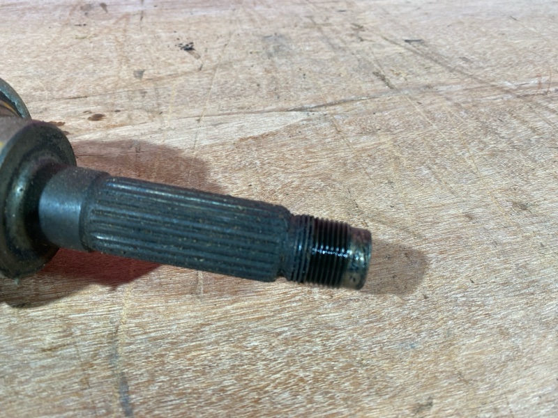 Привод, 1000 рублей, Солонцы