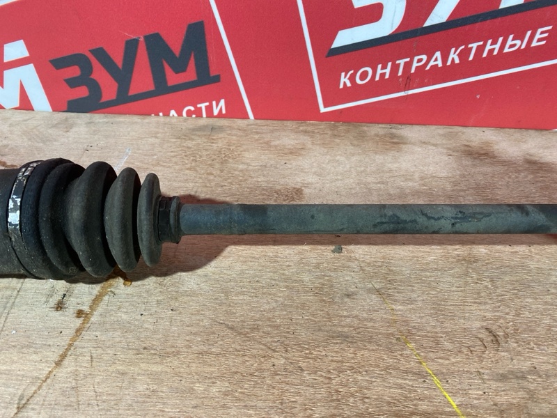 Привод, 1300 рублей, Солонцы