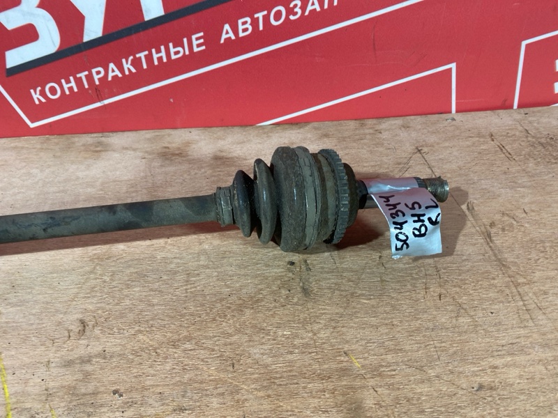 Привод, 1300 рублей, Солонцы