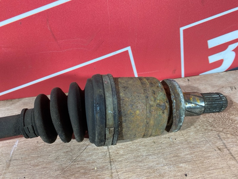 Привод, 1000 рублей, Солонцы