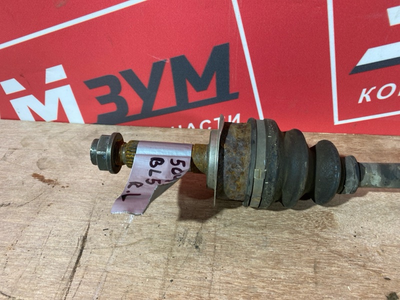 Привод, 1000 рублей, Солонцы