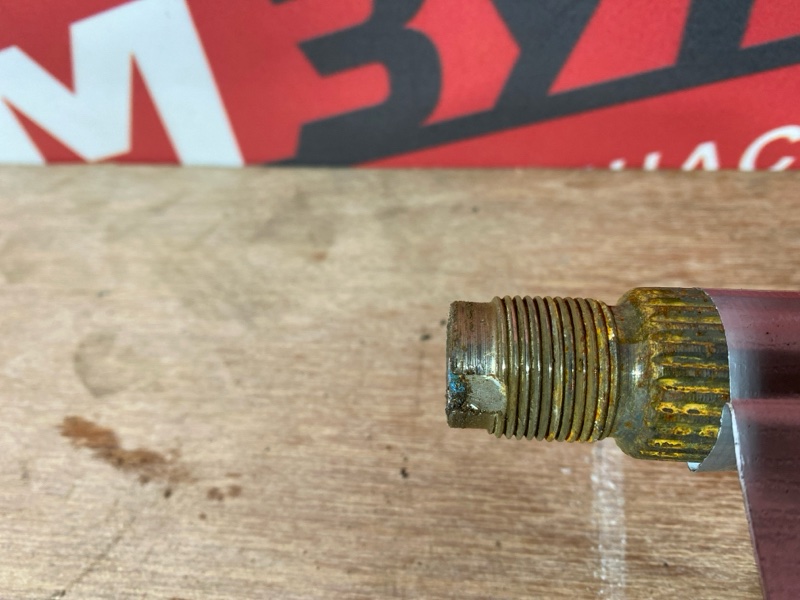 Привод, 1000 рублей, Солонцы