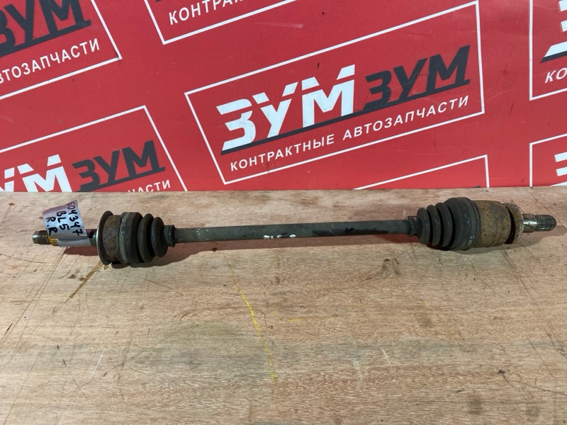 Привод, 1000 рублей, Солонцы