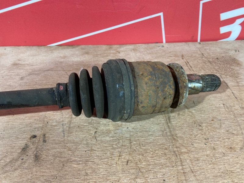 Привод, 1000 рублей, Солонцы