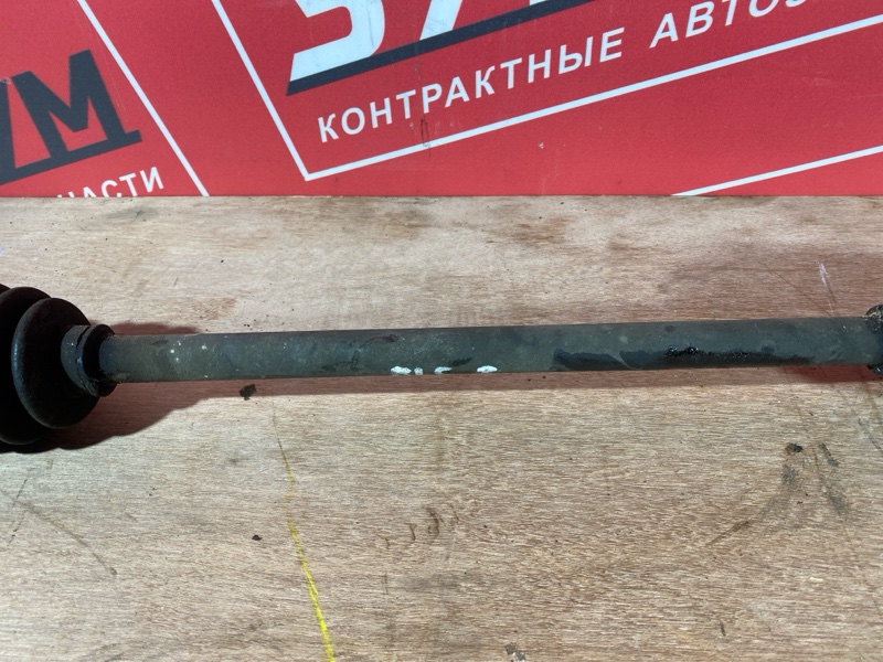 Привод, 1000 рублей, Солонцы