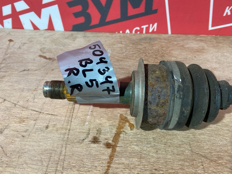 Привод, 1000 рублей, Солонцы