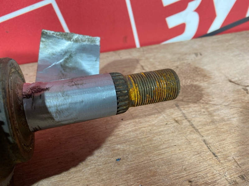 Привод, 8000 рублей, Солонцы