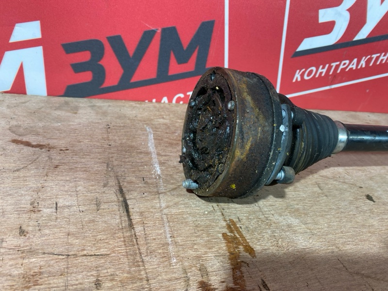 Привод, 2800 рублей, Солонцы