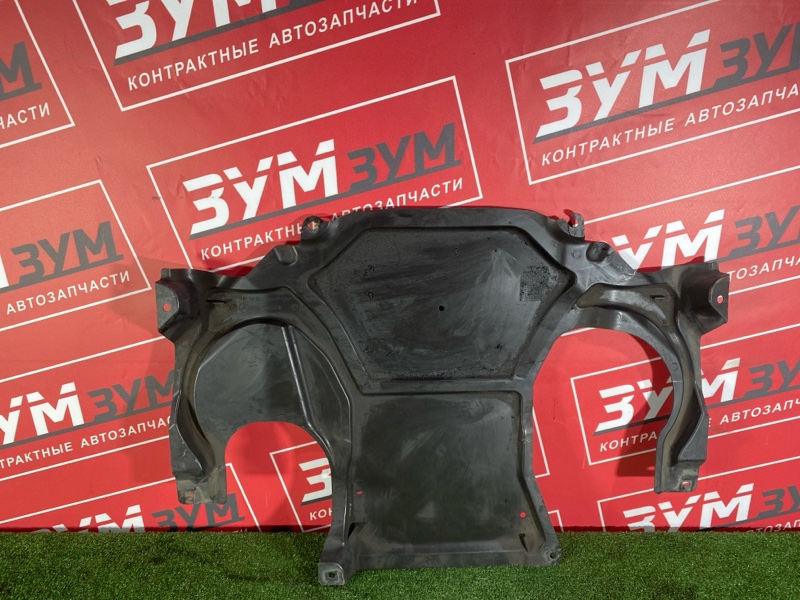 Защита ДВС, 2000 рублей, Солонцы