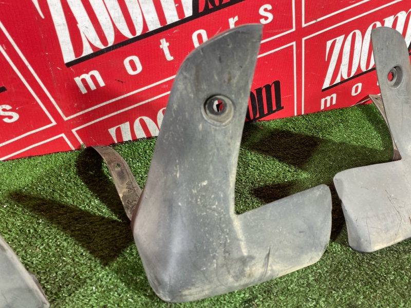 Брызговик, 2500 рублей, Солонцы