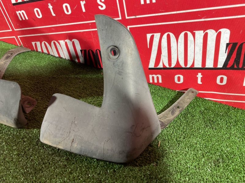 Брызговик, 2500 рублей, Солонцы