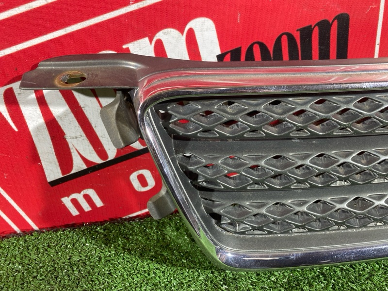 Решетка радиатора, 10000 рублей, Солонцы