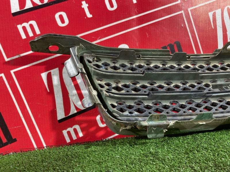 Решетка радиатора, 10000 рублей, Солонцы