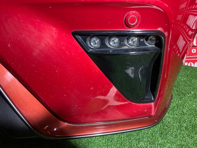 Nose cut, 260000 рублей, Солонцы