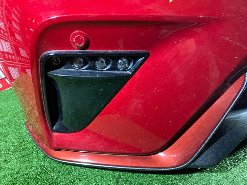 Nose cut, 260000 рублей, Солонцы