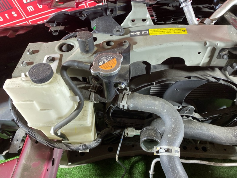 Nose cut, 260000 рублей, Солонцы