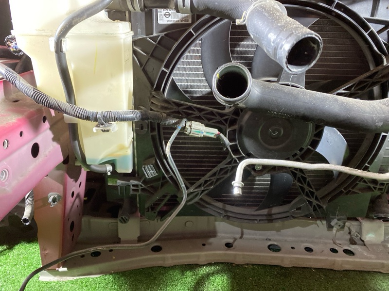 Nose cut, 260000 рублей, Солонцы