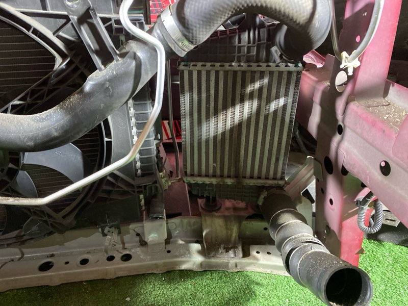 Nose cut, 260000 рублей, Солонцы