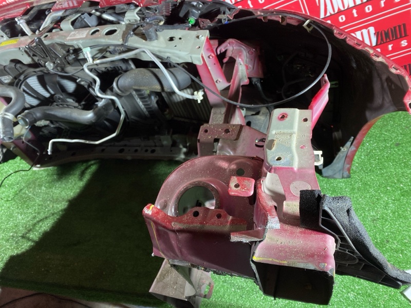 Nose cut, 260000 рублей, Солонцы