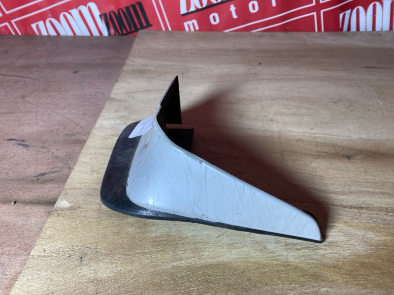 Брызговик, 300 рублей, Солонцы