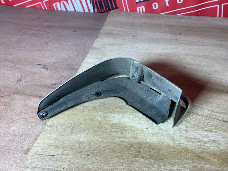 Брызговик, 300 рублей, Солонцы